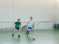 IMG_1254